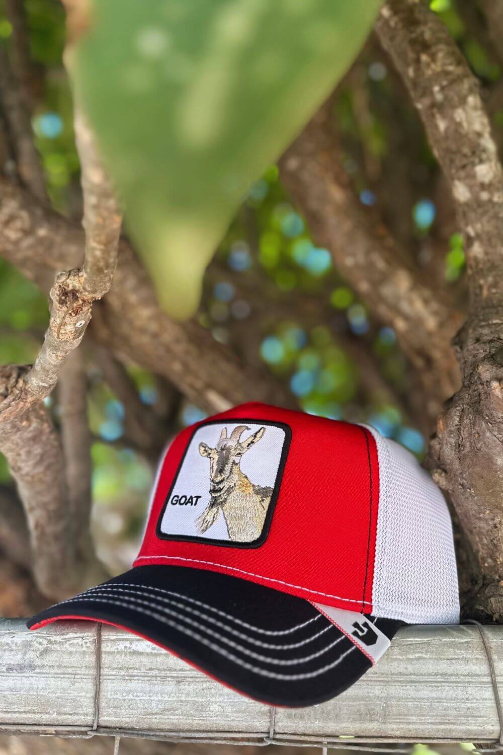 Goorin Bros MV Butter Cap