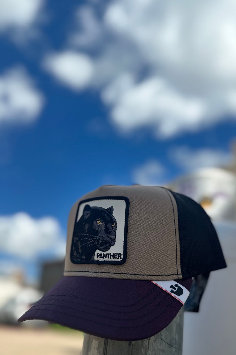 Goorin Bros MV Panther Cap