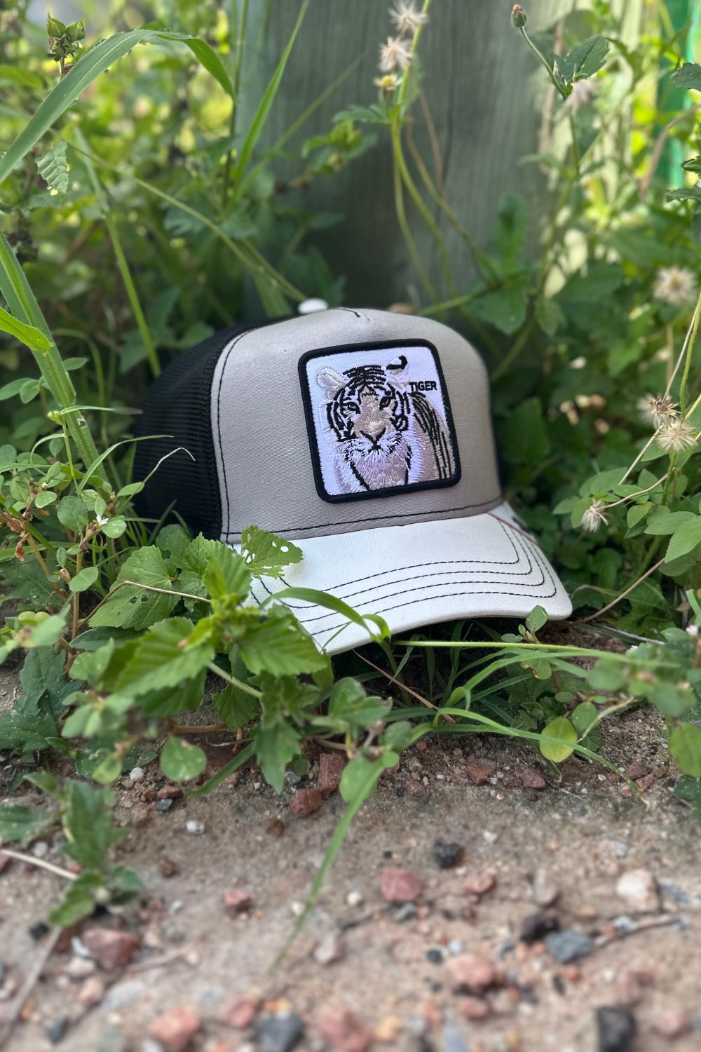 Goorin Bros MV Stripes Cap