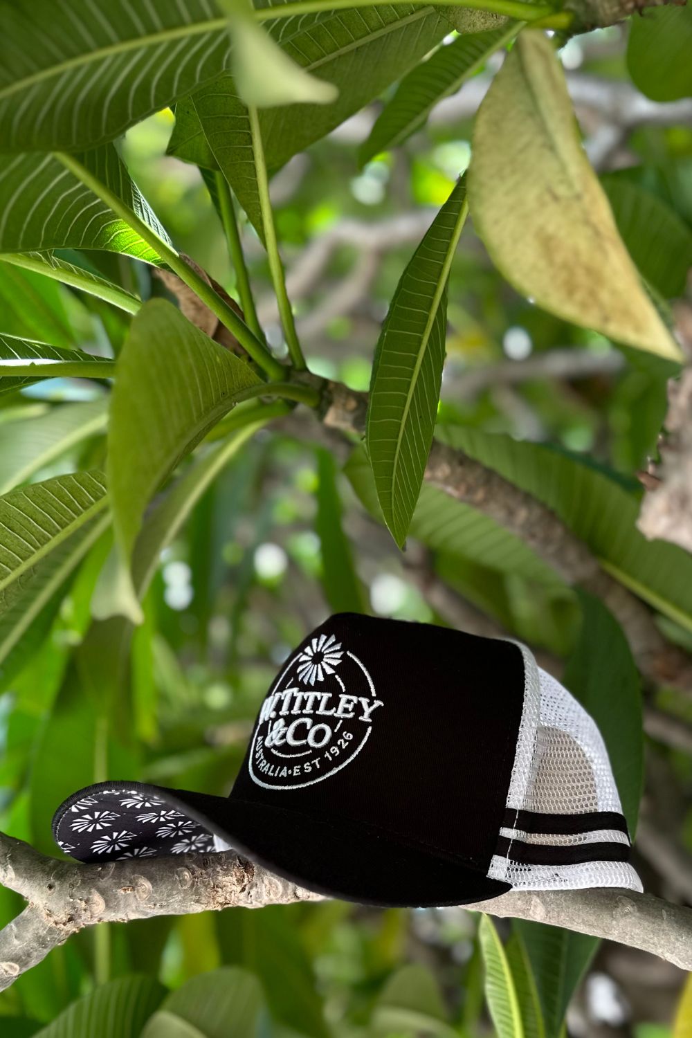 W. Titley & Co Trucker Cap