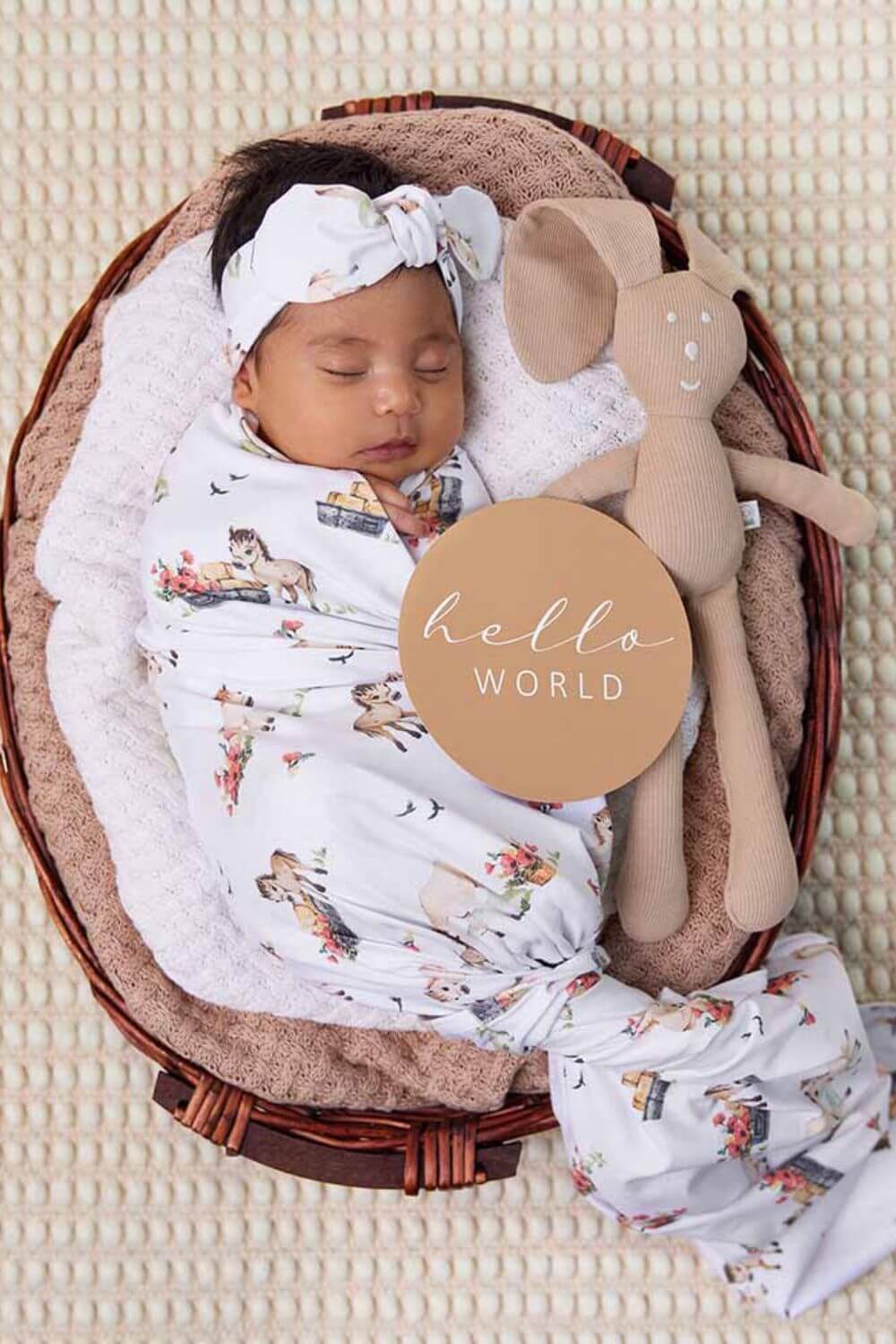 Snuggle Hunny Pony Pals & Pebble Reversible Milestone Cards