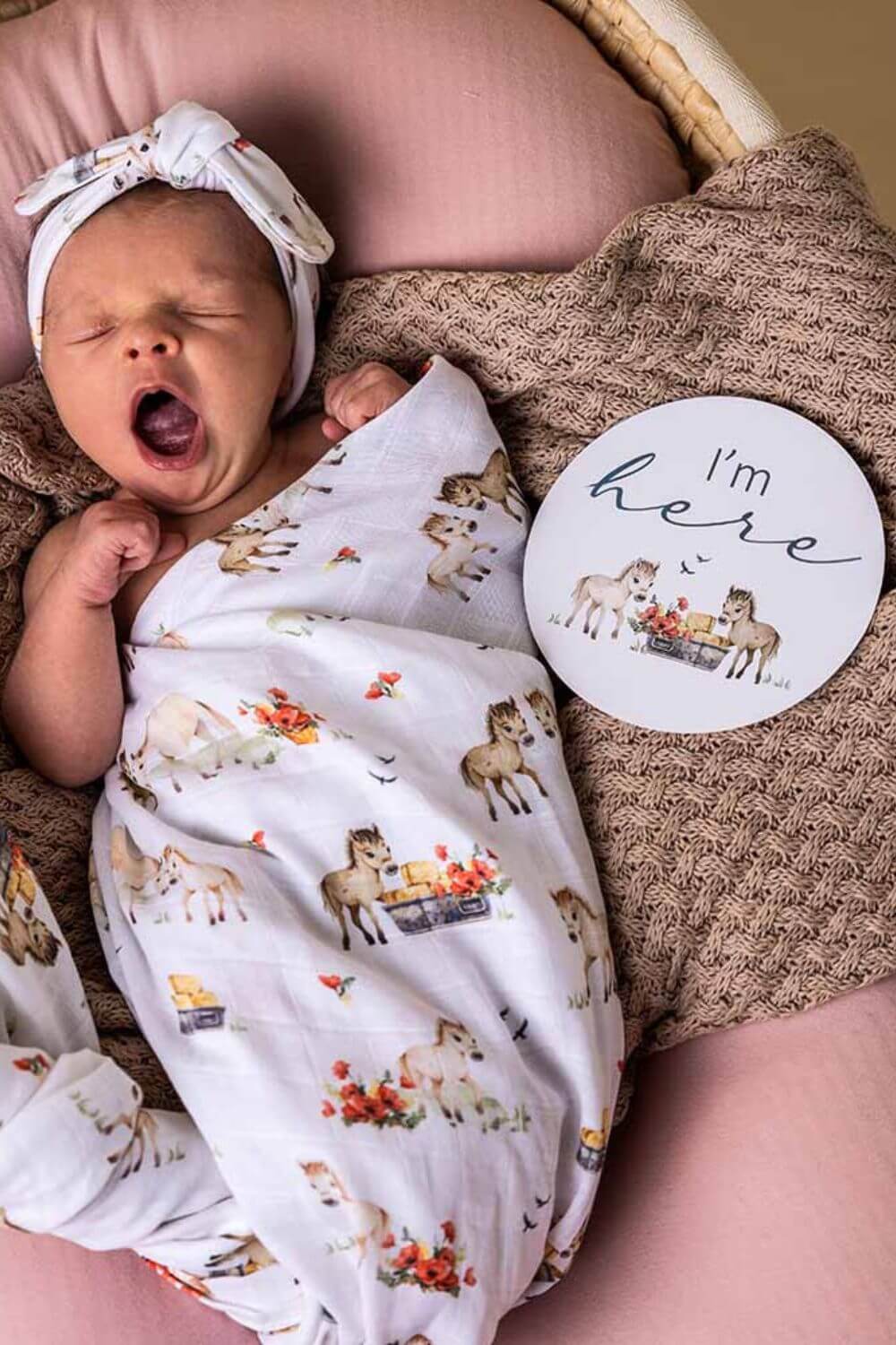 Snuggle Hunny Pony Pals & Pebble Reversible Milestone Cards