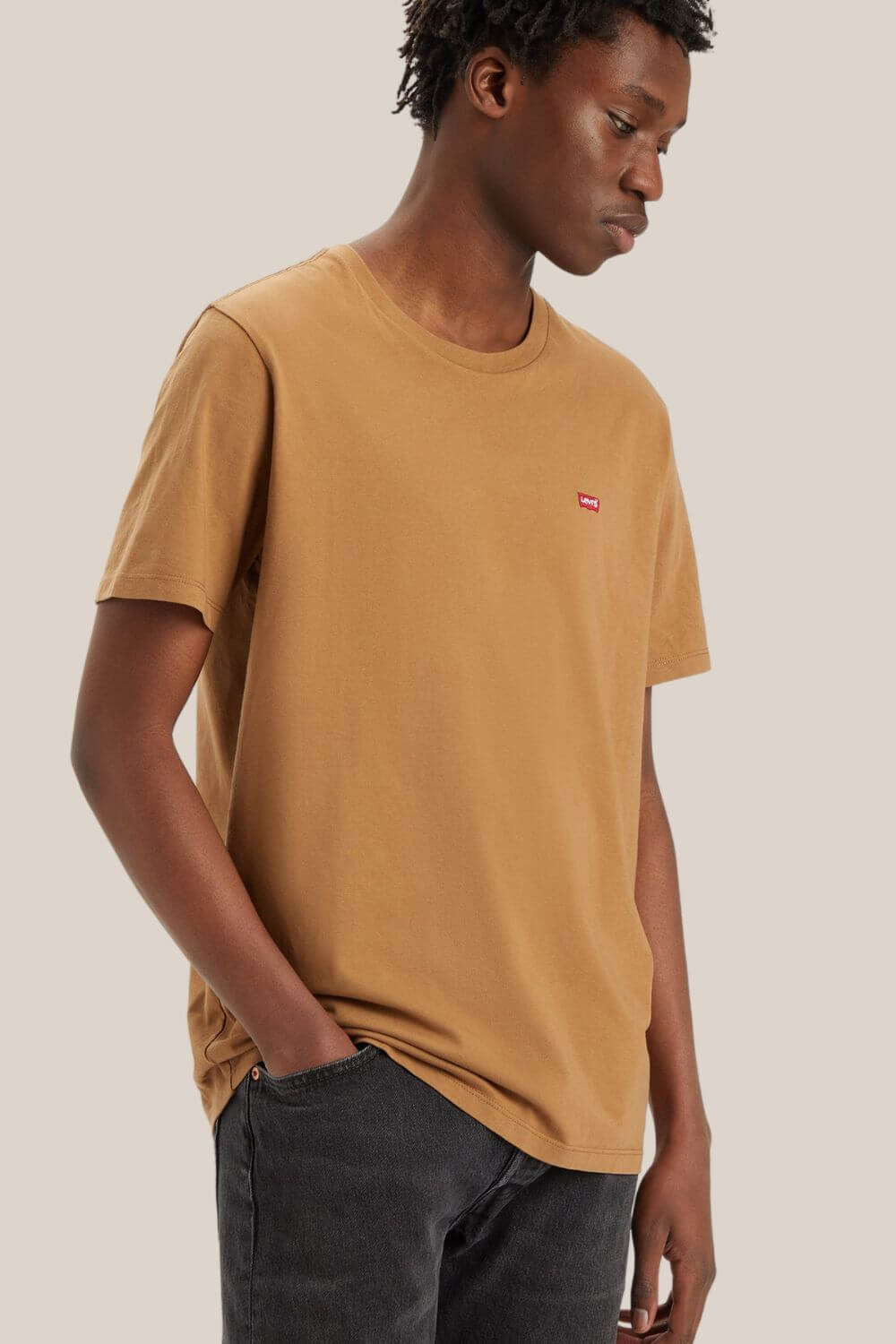 Levi Mens SS Original Homemark Tee
