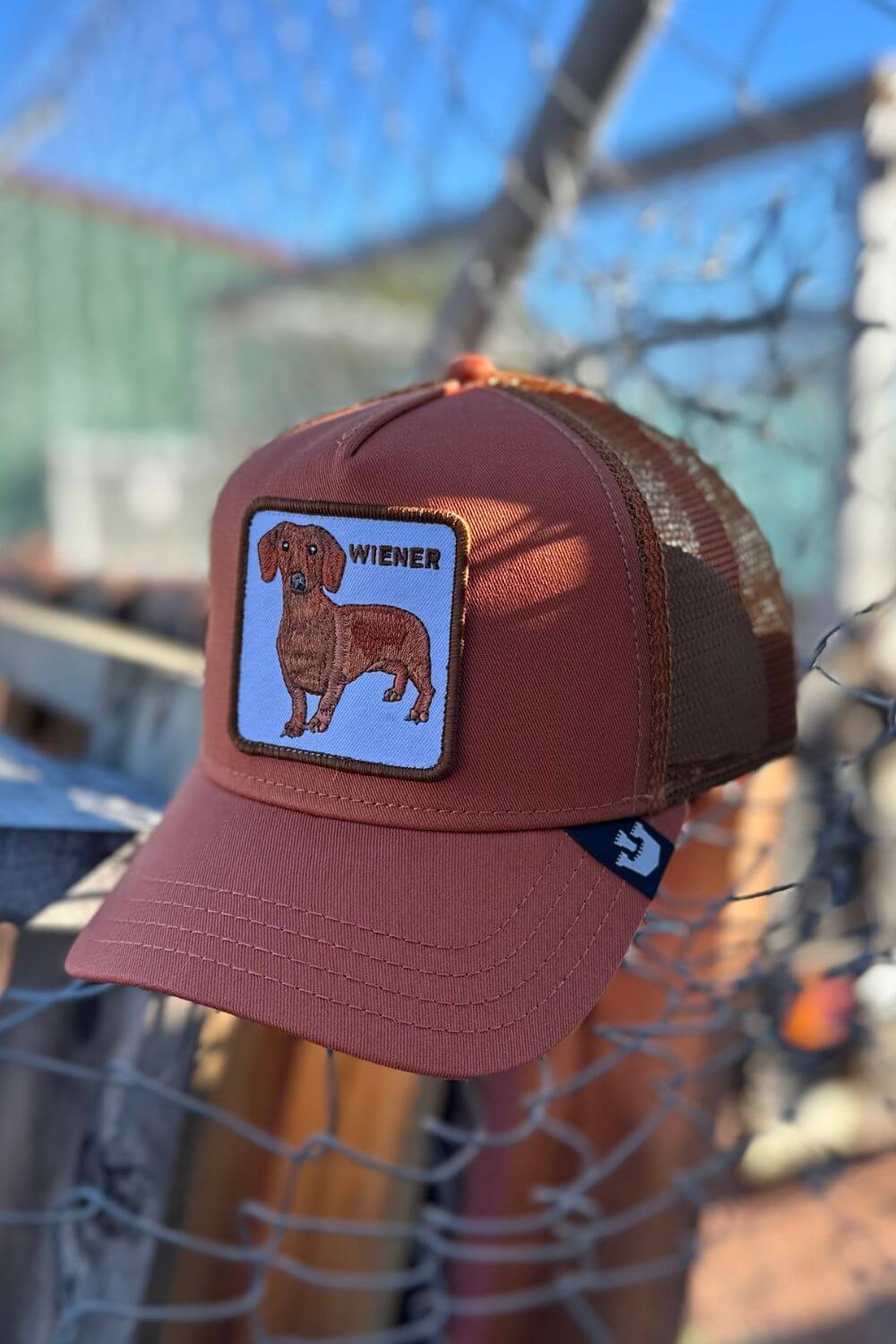 Goorin Bros Weiner Dog