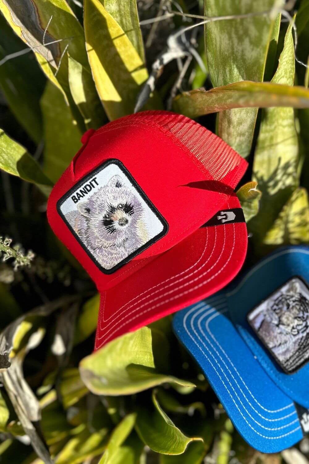 Goorin Bros Sticky Bandit Kids