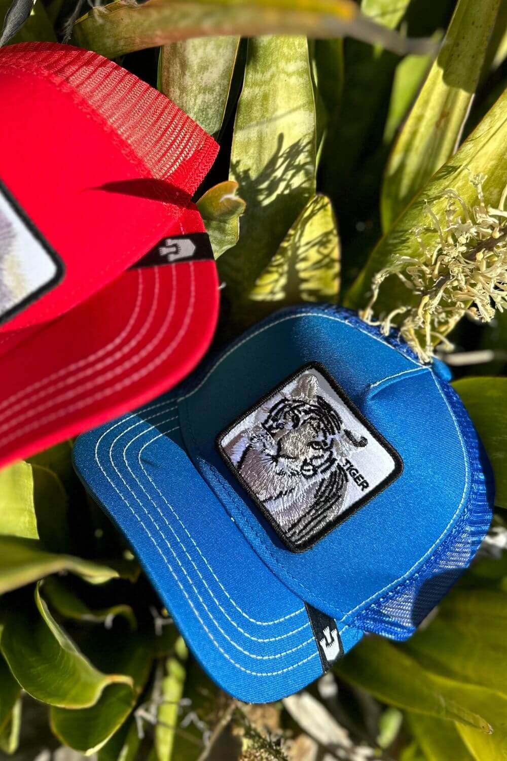 Goorin Bros Stripe Earner Kids