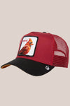 Goorin Bros Cardinal Fan Cap