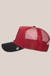 Goorin Bros Cardinal Fan Cap