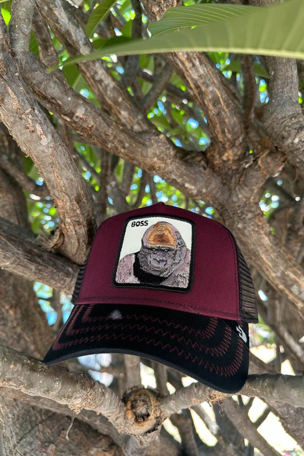 Goorin Bros The Boss Trucker Cap