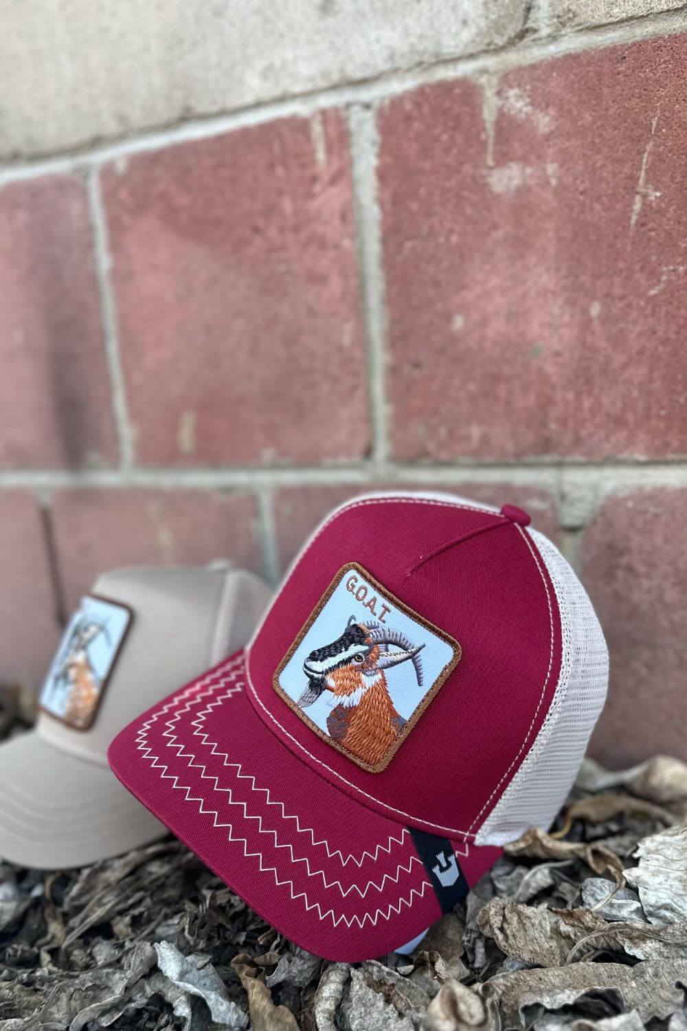 Goorin Bros The GOAT Trucker Cap