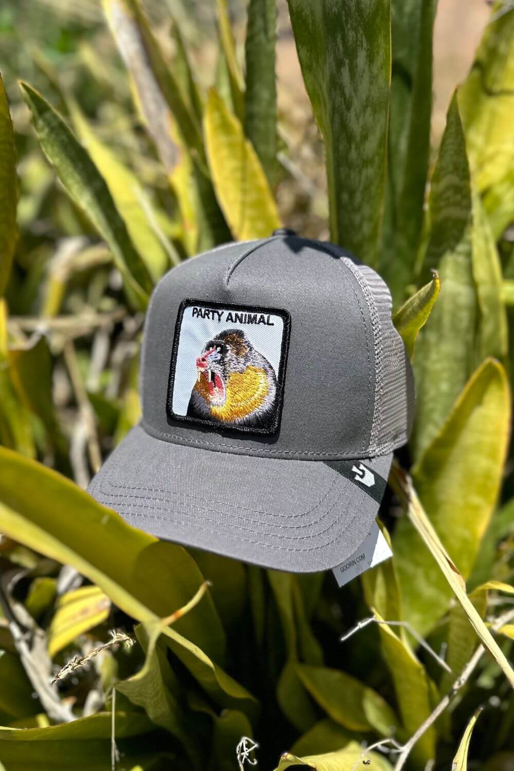 Goorin Bros The Party Animal Trucker Cap