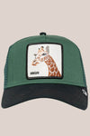 Goorin Bros The Giraffe Cap