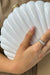 Olga Berg Pauly Shell Clutch