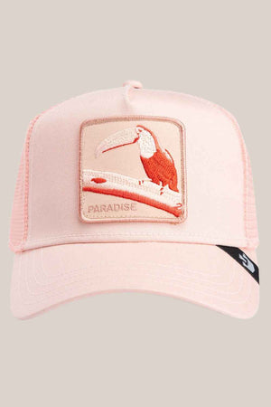 Goorin Bros Toucan Mirage Cap