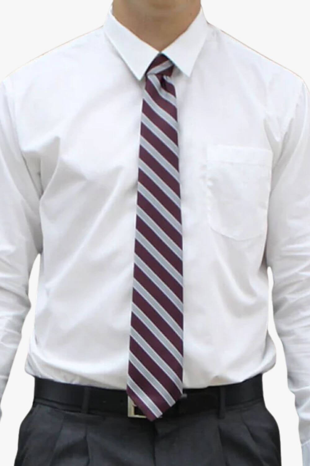 CTSHS Formal Tie