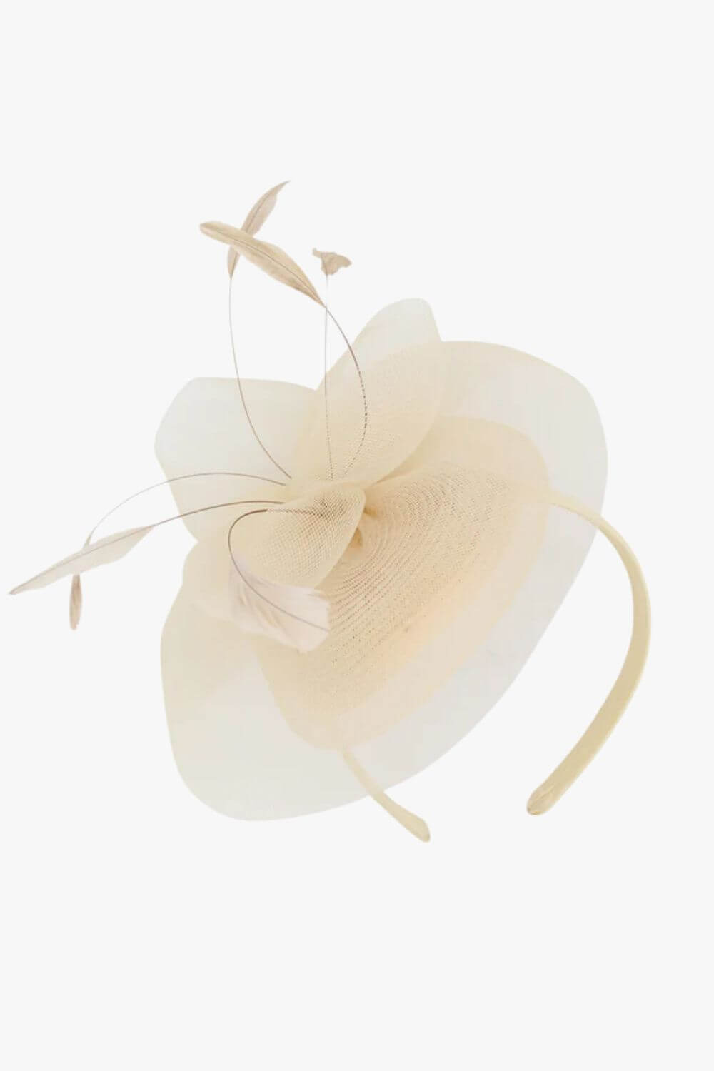 Morgan & Taylor Elisa Fasinator