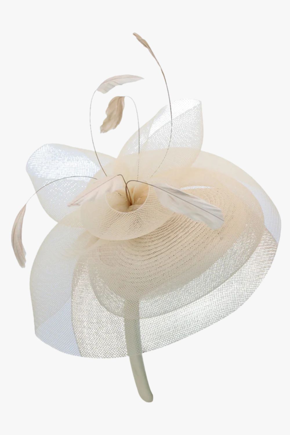 Morgan & Taylor Elisa Fasinator