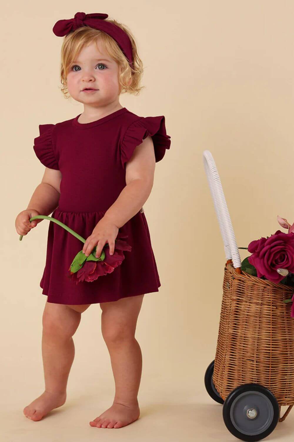 Snuggle Hunny Raspberry Short Sleeve Organic Dress