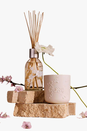 Circa 250ml Diffuser - Mothers Day 26 - Cherry Blossom & Green Tea