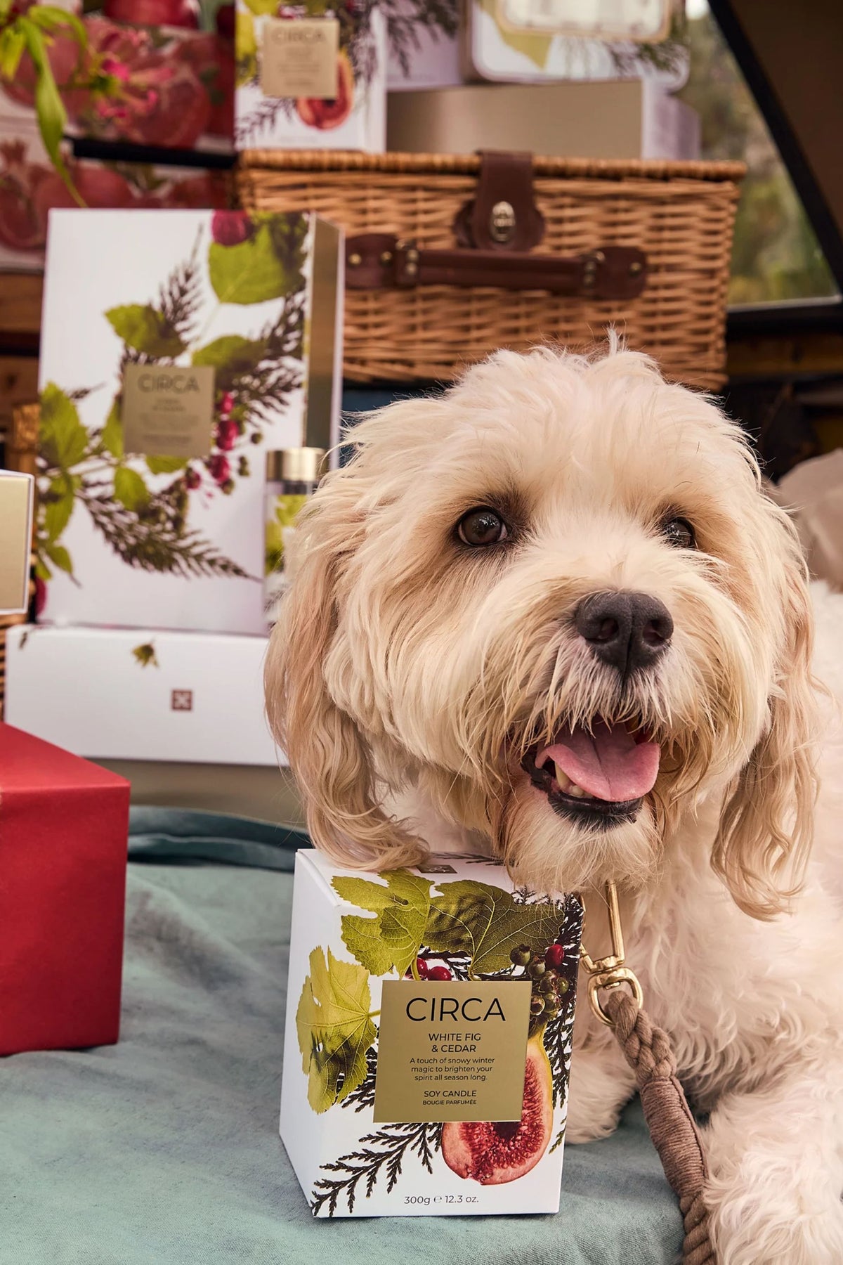 Circa White Fig & Cedar Candle 300g