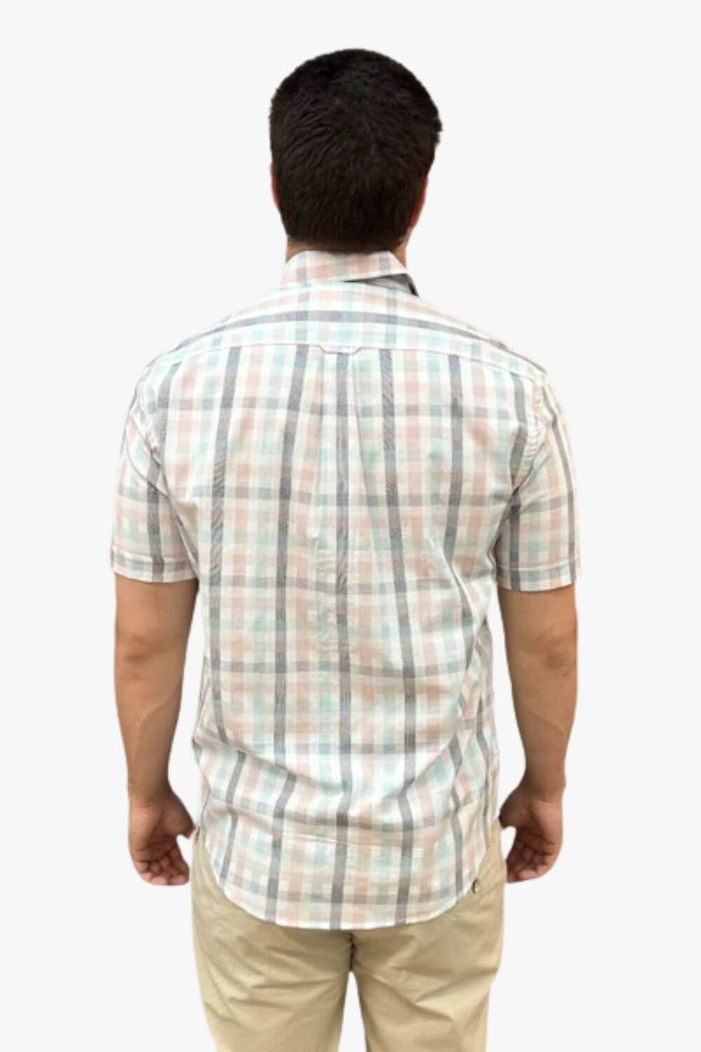 Back Bay Cotton Check Short Sleeve Shirt