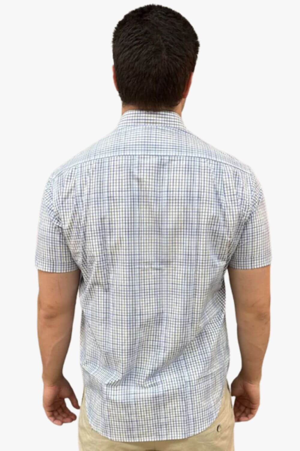 Back Bay Bamboo Poly Micro Check Short Sleeve Shirt