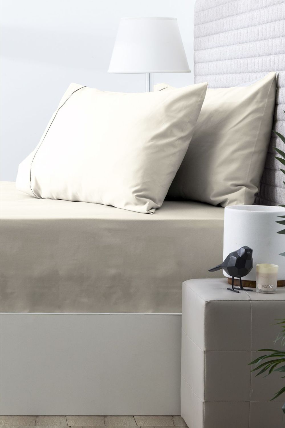 Park Avenue 500 TC Cotton Sheet Combo - Queen