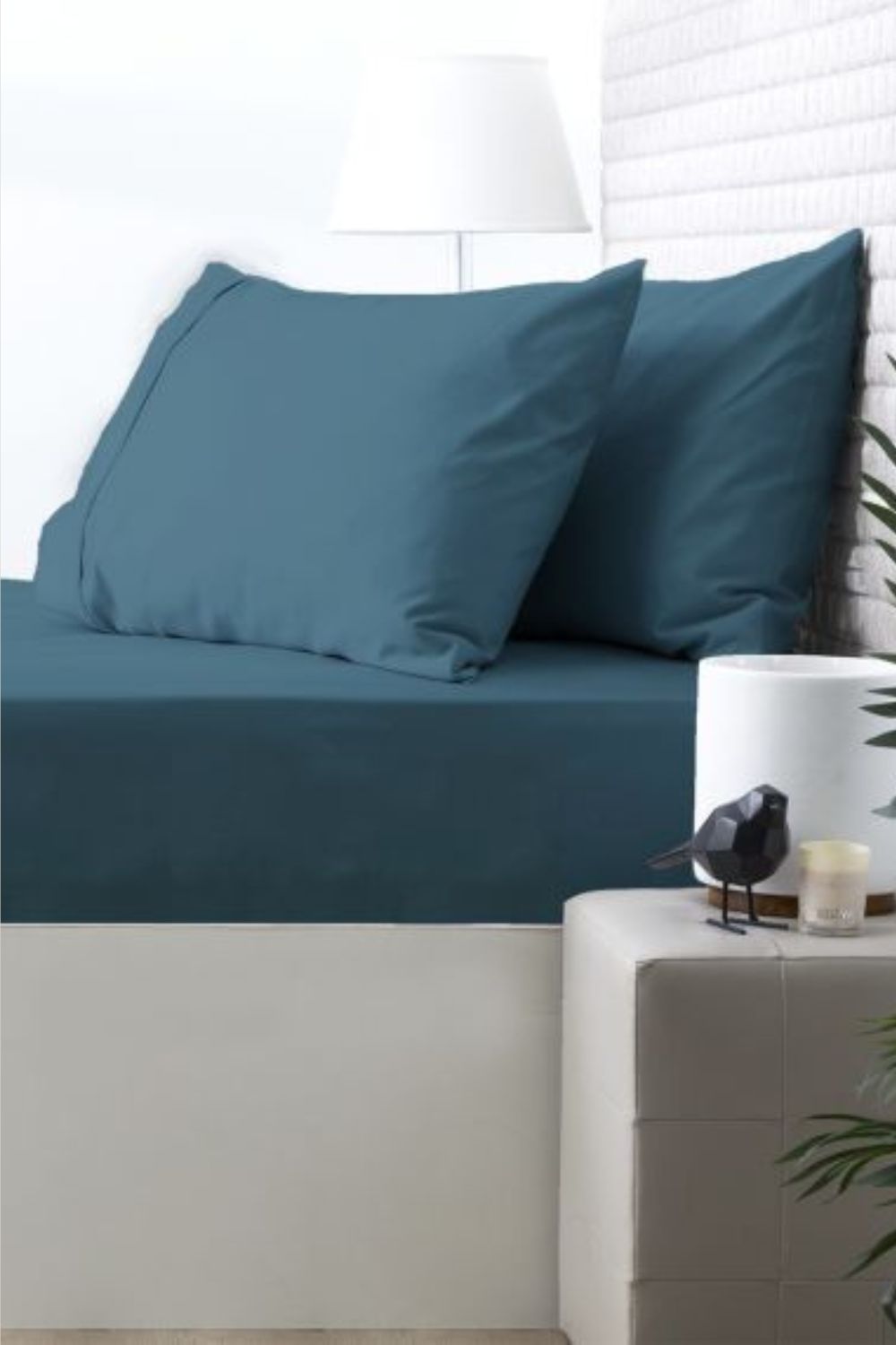 Park Avenue 500 TC Cotton Sheet Combo - Single