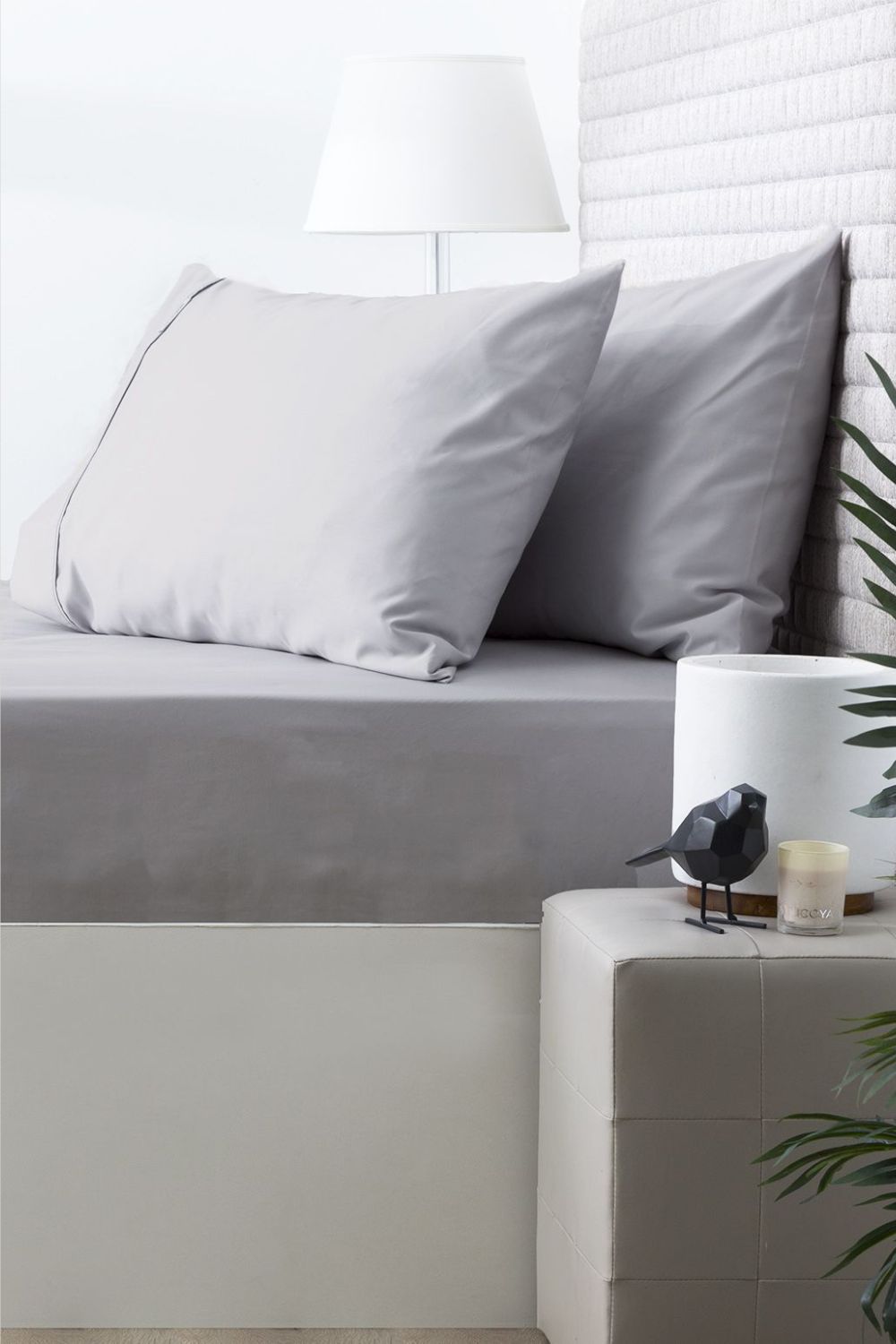 Park Avenue 500 TC Cotton Sheet Combo - King Single