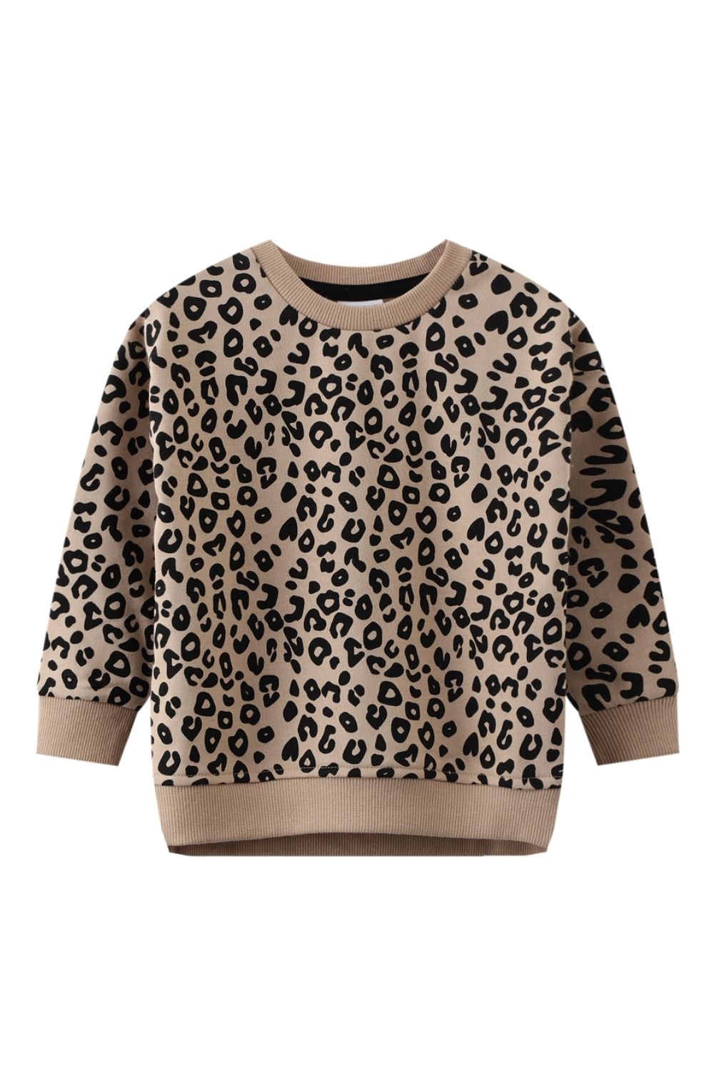 H&m leopard clearance sweatshirt